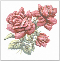 Декор Оранжерея Розы 9,9х9,9